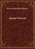 Kawał literata - ebook