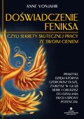 Doświadczenie Feniksa, czyli sekrety skutecznej pracy ze swoim cieniem - ebook