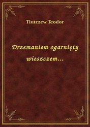 : Drzemaniem ogarnięty wieszczem... - ebook