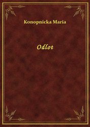 : Odlot - ebook