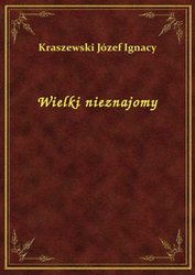 : Wielki nieznajomy - ebook